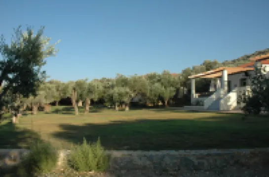 Gera's Olive Grove - Elaionas Lesvou