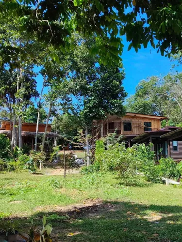 รูปภาพของVelora bay koh jum