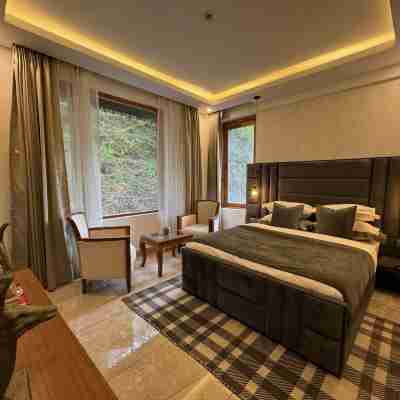 Ausnya Tirthan Rooms