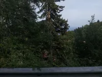 Studio proche de Strasbourg Hotels in Mutzig