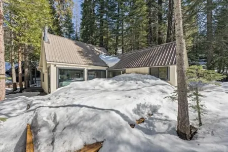 Modern Cozy Cabin Retreat