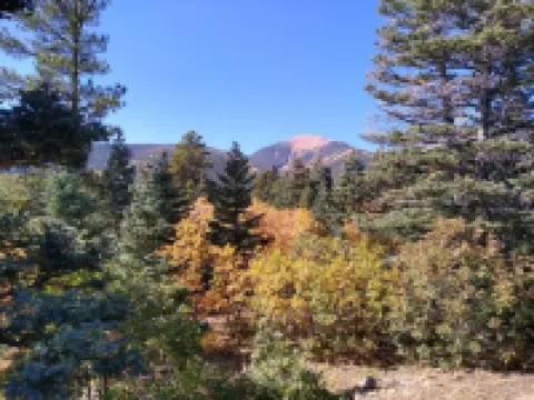 Location!  Nice log home in dark sky community next to several peaks