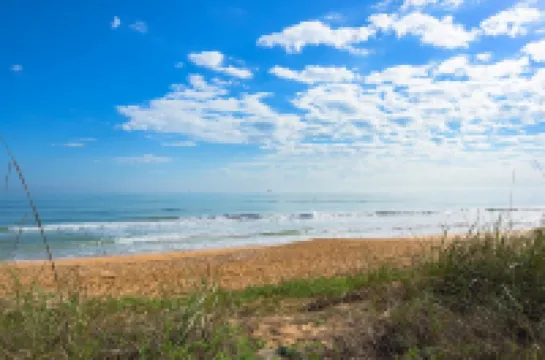 The Coziest Studio by the Sea!