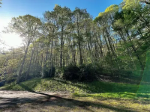 Secluded, yet centrally located. Quiet Retreat. EV charger friendly