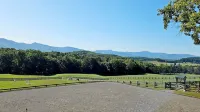 Loft Apartment in a Working Horse Barn.  Minutes from Lexington and the  Vahc.