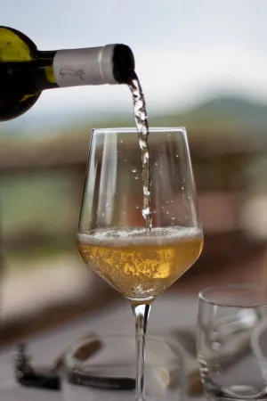 Two-room apartment in farmhouse surrounded by greenery and a few kilometers from the sea Отели в г. Масса-Каррара