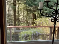Large house Up in the Redwoods perfect for large families. Pet friendly. Hotels in Fortuna