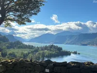 Cozy home with large yard oasis! Hotels in Aloha