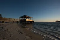 Beach Front South End, Designer Decorated, Dream Retreat on Tybee Island!
