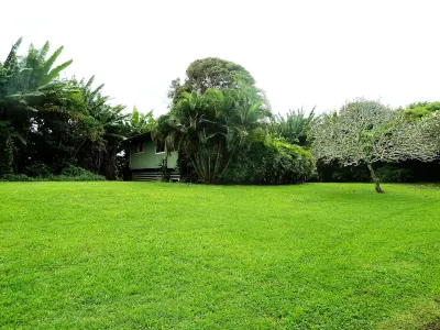 Great location between Hana Town and Hamoa Beach, private, family-friendly Hotel dekat Hana Bay Beach Park
