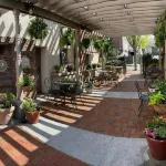 1920s Cottage- Walk to Downtown Waynesville and Hazelwood Village. Pet-Friendly!