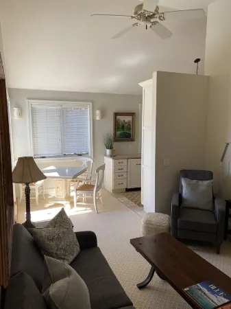 Darling Two Bedroom Condo Downtown Harbor Springs