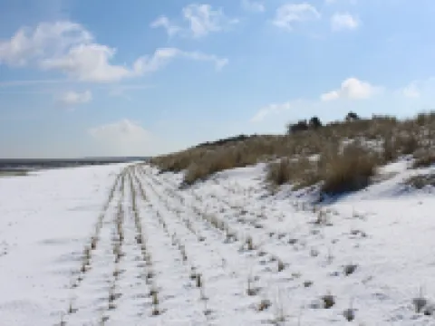 Exclusive Apartment "Boddenblick" in Haus Boddensonne Hotels in Fuhlendorf