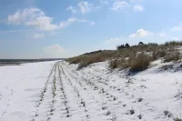 Exclusive Apartment "Boddenblick" in Haus Boddensonne Hotels in Fuhlendorf