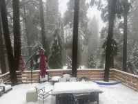 Beautiful cabin 2 story with 2 decks, near Lake Gregory, Lake Arrowhead. Hotel dekat Lake Gregory Regional Park