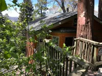 Peaceful Cozy Cabin Amongst the Trees with View of Lake Arrowhead