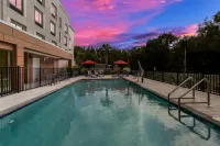 Hampton Inn & Suites by Hilton Ruskin I-75 - Pools