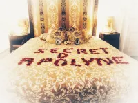 Secret d'Apolyne - In the heart of Annecy