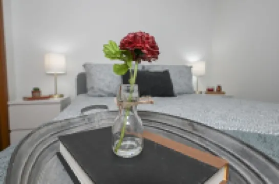 Bright 2Br Walk to Summa Near Akron Hospitals & UA