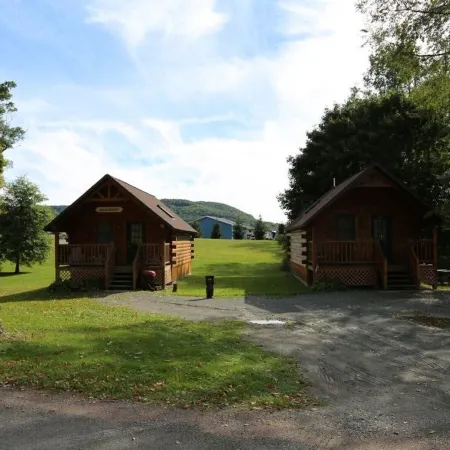 Riverfront Cabin West Branch Delaware River