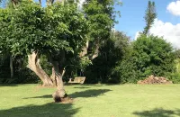 Oak Hill Oasis - Tropical Villa & Salt Pool - BB&T Center, Everglades & Beaches