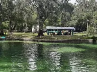 Connect with Nature at this Peaceful home near by multiple springs and trails . Hotels in Levy County
