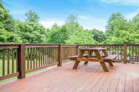 The Blue Llama - Spacious Oasis off Brew Ridge Trail - Great for Groups & Pets