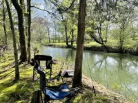 Prairie Creek Cabin -Ride SxS to trails from the cabin! Kayak and Fish the Creek