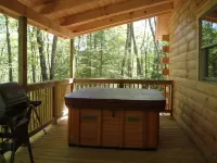 Valley View Cabin with show-stopping vaulted ceilings!