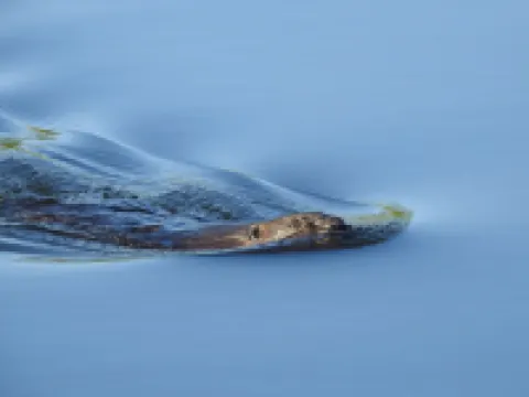 Time with water apartment I