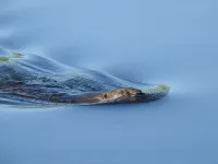 Time with water apartment I