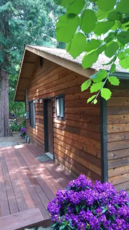 No Better View of the Olympics (near Alderbrook Resort)