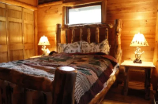 Unique Rustic Ski-Tree House - Game room, Hot tub & Sauna