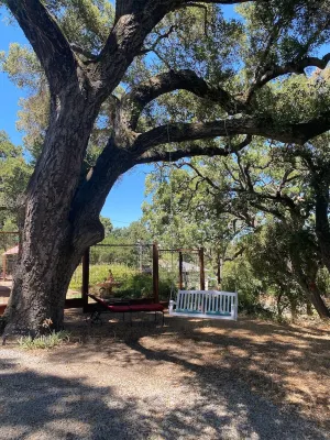 Colony Haven in the Oaks Hotels near Faces of Freedom Veterans Memorial