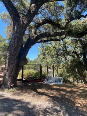 Colony Haven in the Oaks
