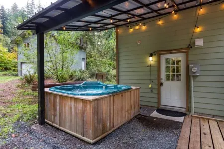 The River Cabin near Mt. Baker