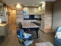 3 P. Spacious Completely renovated. Breathtaking view - Ski on foot 50 m