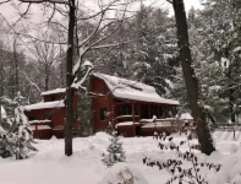Relaxing Forest Retreat/minutes from Lake George