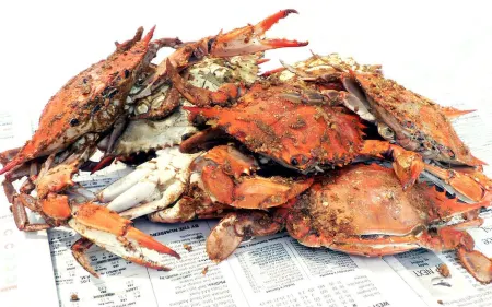 "Family Friendly Getaway" - Close to Assateague / Downtown Berlin / O.C.