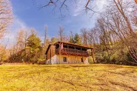Secluded wilderness cabin retreat in Bryson City- Dog friendly! WiFi A/C