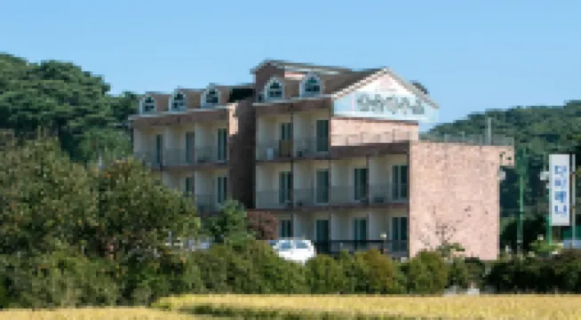 Taean Pine Forest House Pension Hotels in 
