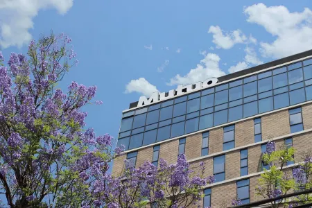 Mutuo Vive Отели рядом с достопримечательностью «Госпиталь Кабаньяс»