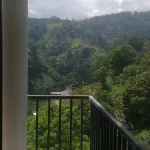 ビューフロント エラ