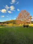 Pousada Refugio do Lago Hotels in Lages