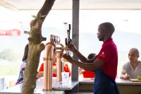 Skilpadvlei Wine Farm - bar