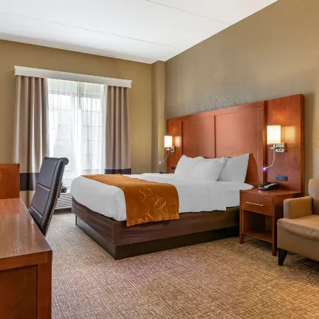 Comfort Suites Grand Rapids South