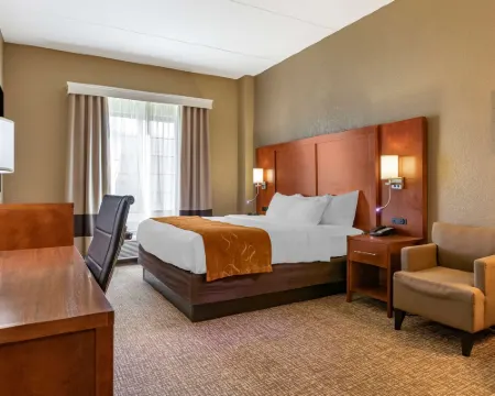 大急流城南舒適套房酒店 肯特縣酒店