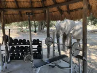 Track and Trail River Camp - ที่มีฟิตเนส