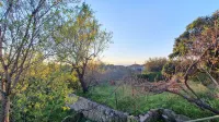 Best House Green Home Eleofito Agrinio Hotels in Agrinion