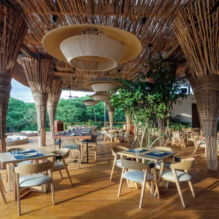 Hotel Shibari - Restaurant & Cenote Club